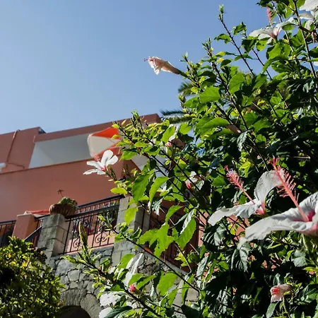 公寓式酒店 阿尔奇昂酒店